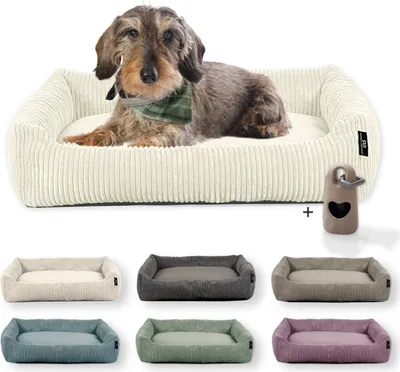 Produktbild von Rohrschneider Hundebett waschbar für kleine und mittelgroße Hunde mit Hundekissen Cord  inkl. Gassibeutel, Farbe:vanille, Muster:Cordstoff breit