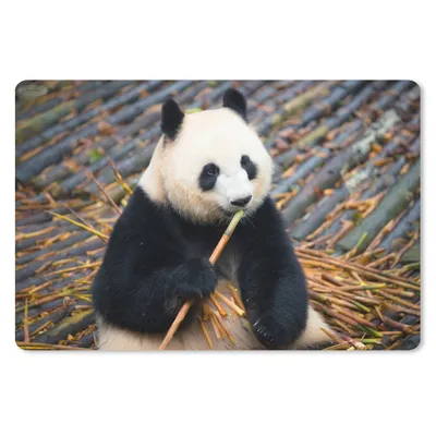 Produktbild von MuchoWow® Mauspad Mousepad Panda - Bambus - Blätter 27x18 cm - Mousepads - Maus Mat - Pad - Mausunterlage - Büroartikel - Desk Matten