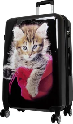 Produktbild von Hartschalen Reise Koffer Trolley mit Dehnfalte Motiv Kätzchen - Gr. XL