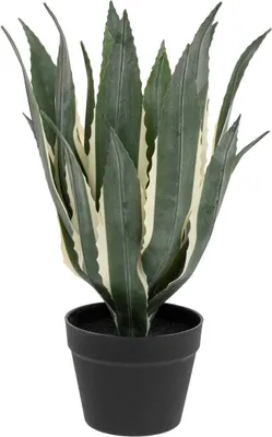 Produktbild von Künstliche agave h55cm grün  - Atmosphera créateur d'intérieur