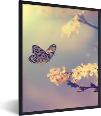 Produktbild von MuchoWow® Gerahmtes Poster Schmetterlinge - Blüte - Zweig - Baum 60x80 cm - Poster mit Schwarzem Bilderrahmen Wandposter Rahmen Foto Bilder - Premium - Wanddeko Wohnzimmer