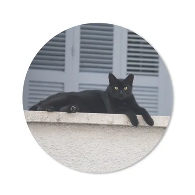Obrázek produktu pro Podložka pod myš - Cat - Black - Shutters - Girls - Children - Boys - Child - 30x30cm - Podložka pod myš