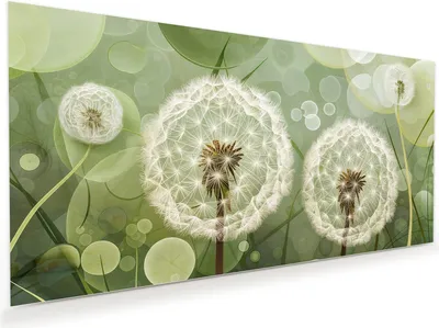 Produktbild von Glasbild 60x30cm in XXL für Wohnzimmer, Schlafzimmer Motiv Löwenzahnzarte Blüten