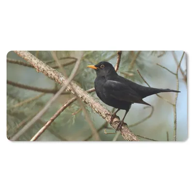 Produktbild von MuchoWow® Schreibtischunterlage Vogel - Amsel - Zweige - Tiere 80x40 cm - XXL Mauspad - Gaming Mauspad