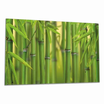 Produktbild von Wallario Herdabdeckplatte aus Glas, Größe 90 x 52 cm 1-teilig, Motiv Grüner Bambuswald