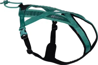 Produktbild von Non-stop dogwear Geschirr Rush Harness teal, Größe: 3
