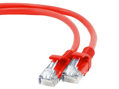 Produktbild von gembird CAT5e UTP-Patchkabel, rot, 1 m