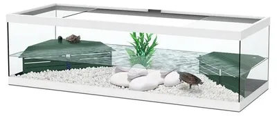 Productafbeelding van TerrAtlantis Schildpadbak Tortum 100 wit | 104x40x30CM | met eilanden, afdekking en filter
