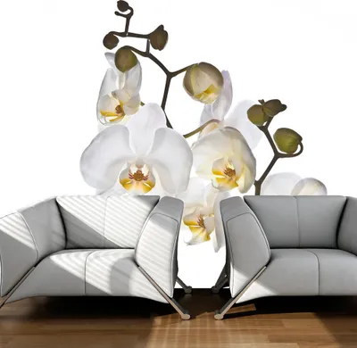 Produktbild von Basera Fototapete Orchideenmotiv 10040906-20, Vliestapete, 300x231 cm
