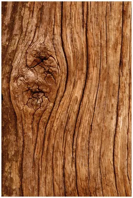 Produktbild von Wallario Premium Glasbild, freischwebende Optik, kräftige Farben, Größe 90 x 60 cm Motiv Holzstamm mit Asteinschluss
