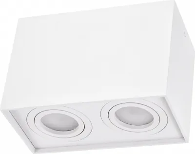A white, rectangular ceiling light fixture with two circular light openings.