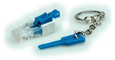 Obrázok produktu pre ROLINE Lockable RJ45 Plug with Key, Priehľadná