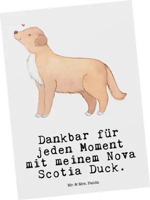 Produktbild von Mr. & Mrs. Panda Grußkarte Nova Scotia Duck Moment - Weiß - Geschenk, Ansichtskarten, Tolling Retriever, Ansichtskarte, Postkarte, einzelkarte, Postkarten