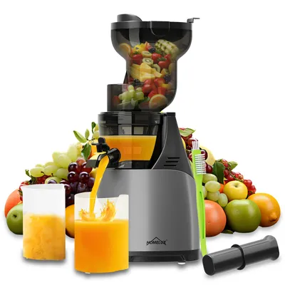 Produktbild von HOMELUX Entsafter 140 MM Slow Juicer 150W Einfüllschacht für Ganze Gemüse und Obst Kaltentsafter Elektrische mit 2 Tassen Reinigungsbürste, Silber
