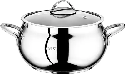 A stainless steel pot with a glass lid and two handles, shown from a front-side angle against a white background.