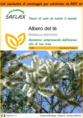 Immagine prodotto di SAFLAX Garden in the bag - Albero del tè - 400 semi - Melaleuca