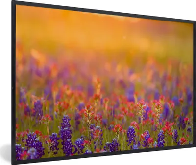 Produktbild von MuchoWow® Gerahmtes Poster Blumen - Gold - Sonne 30x20 cm - Poster mit Schwarzem Bilderrahmen Wandposter Rahmen Foto Bilder - Kunstdruck - Bild-Poster