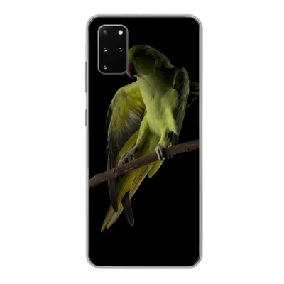 Produktbild von MuchoWow® Handyhülle Schutzhülle Hülle für Samsung Galaxy S20 Plus Papagei - Vogel - Zweig Silikon Softcase Handy Hülle