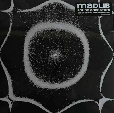 Obrázok produktu pre Madlib - Sound Ancestors (LP)