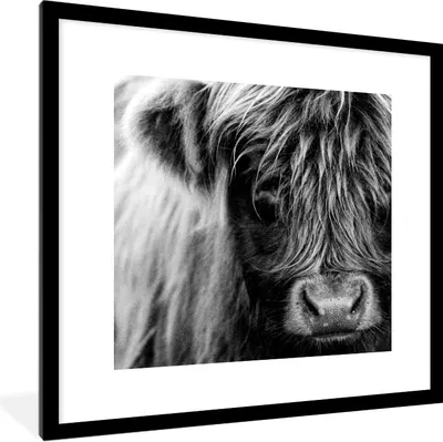 Produktbild von MuchoWow® Gerahmtes Poster Schottischer Highlander - Porträt - Schwarz - Weiß 40x40 cm - Poster mit Schwarzem Bilderrahmen Wandposter Rahmen Foto Bilder - Poster - Plakat im Rahmen