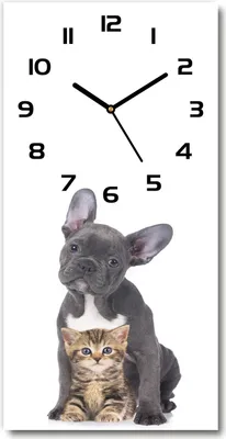 Produktbild von Wanduhr aus Glas – 30x60 cm - Glasbild - Glasuhr - Gehärtetes Glas -Hund und Katze