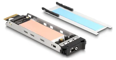 Imagen del producto de Delock, módulo adaptable para disco SSD M.2 NVMe, para chasis intercambiable 47028