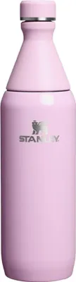 Produktbild von Stanley All Day Slim Flasche 0,6l 1012069125