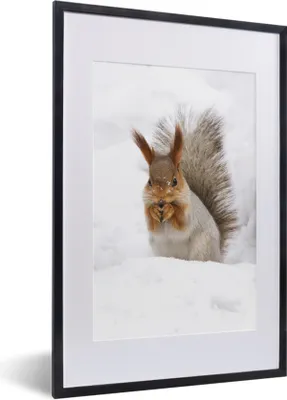 Produktbild von MuchoWow® MuchoWow® Gerahmtes Poster Eichhörnchen - Tier - Schnee 40x60 cm - Poster mit zchwarzem Bilderrahmen - Poster in Rahmen