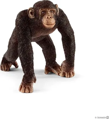 Zdjęcie produktu dla Schleich, Figurka Wildlife Samiec szympansa z tropikalnych lasów deszczowych Afryki, brązowy