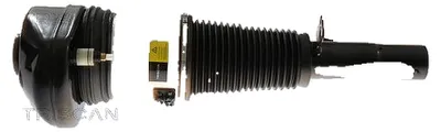 Image de Jambe de suspension pneumatique