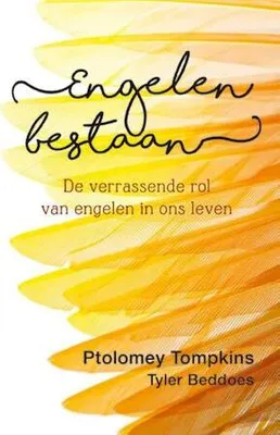 Produktbild von Engelen bestaan