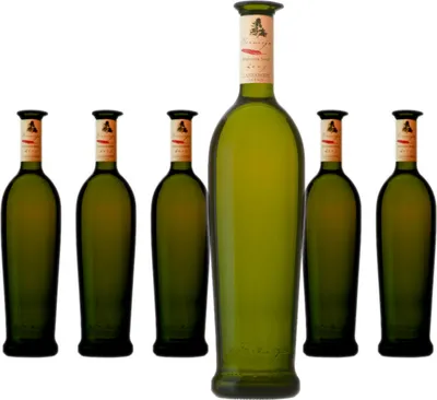 Produktbild von 6 x Bermejo Malvasia Volcánica Seco