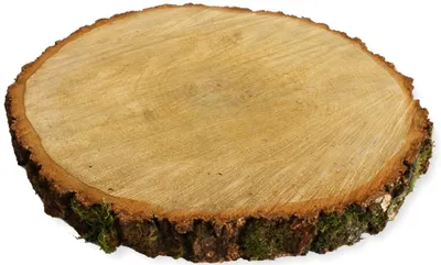 Produktbild von Baumscheiben 1 Stk. Dekoholz Holzscheibe Holzplatte 35 - 40 cm