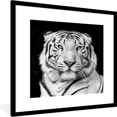Produktbild von MuchoWow® Gerahmtes Poster Tiger - Schwarz - Weiß - Porträt - Tiere 40x40 cm - Poster mit Schwarzem Bilderrahmen Wandposter Rahmen Foto Bilder - Poster - Plakat im Rahmen