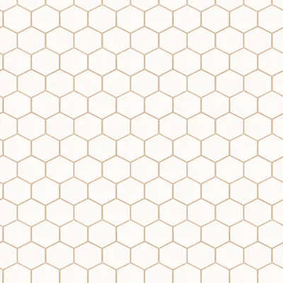 Produktbild von WOW Vliestapete Hexagon 1000x52cm
