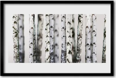 Produktbild von Bild 60x40 MDF-Rahmen Wandkunst Bäume Natur