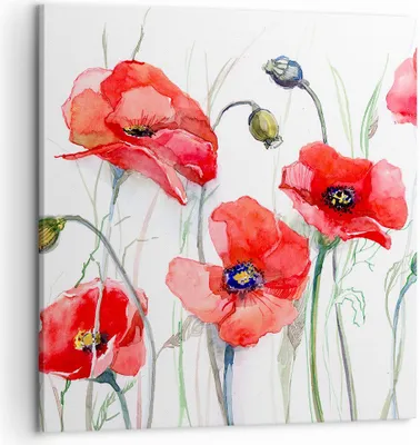 Produktbild von Bild auf Leinwand - Leinwandbild - Blume Mohn Wiese - 50x50cm - Wand Bild - Wanddeko - Wandbilder - Leinwanddruck - Bilder - Kunstdruck - Wanddekoration - Leinwand bilder - Wandkunst - AC50x50-3584