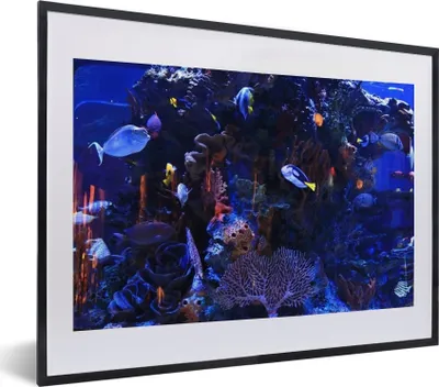 Produktbild von MuchoWow® MuchoWow® Gerahmtes Poster Tropisches Meerwasseraquarium 40x30 cm - Poster mit zchwarzem Bilderrahmen - Bilderrahmen - Poster im Rahmen