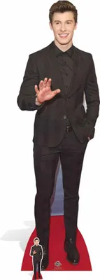 A cardboard cutout of a person standing on a red carpet.