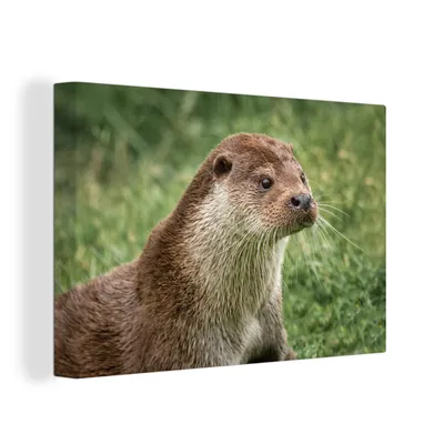 Produktbild von OneMillionCanvasses® - Leinwandbilder - 150x100 cm, Otter im Gras, Wandbilder Kunstdruck Wanddekoration