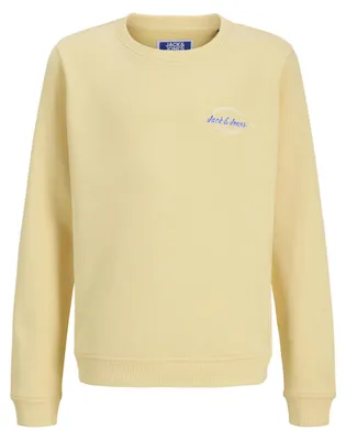 Image de JACK & JONES Jjbrandon, sweat à col rond, modèle junior