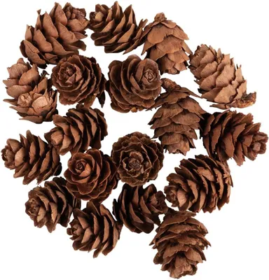 Obrázek produktu pro Šípkové plody – Sada 18 kusů – Mini – 1,5–2 cm – Baleno v dóze