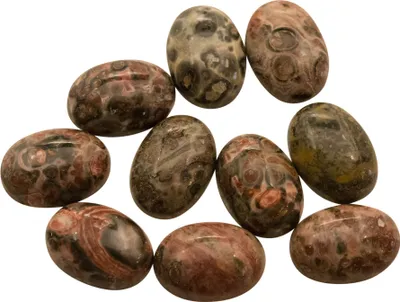 10 Hochwertige Leopardskin Rhyolith Cabochons, 14 x 10 mm