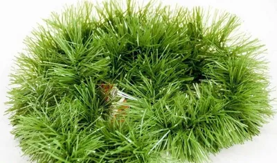 Image de Chaîne d'arbre de Noël 10Szt Vert Dense 2M Chaîne-0004