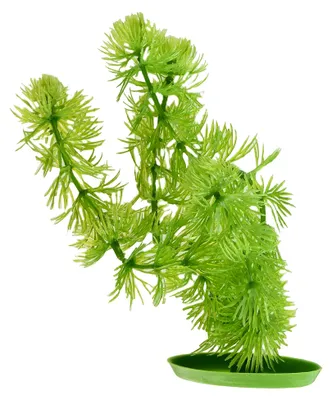 Produktbild von Aquascaper, Aquarienpflanze, Wasserpflanze, aus Kunststoff, Hornwort, 20cm