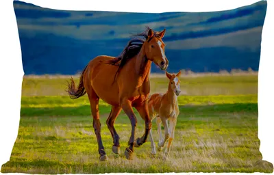 Produktbild von MuchoWow® Outdoor Kissen - Pferde - Gras - Tiere - Landschaft - Natur - 60x40 cm - Wetterfest - Lounge Kissen - Zierkissen - Kissen für Innenräume