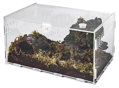 Produktbild von Solidchoice – Mini-Terrarium für Insekten und Reptilien, tragbar und transparent