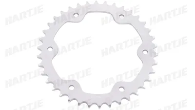 Image de Pignon à chaîne RK "5903" 525, acier, argent 38 dents
