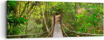 Produktbild von Bild auf Leinwand - Leinwandbild - Fußgängerbrücke Wald Abenteuer - 90x30cm - Wand Bild - Wanddeko - Leinwanddruck - Bilder - Kunstdruck - Wanddekoration - Leinwand bilder - Wandkunst - AB90x30-2678