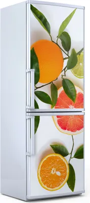 Produktbild von Magnete Dekorative - 70 cm x 190 cm - Küche - Magnetmatte Kühlschrankmagnete - Weiße Zitrus Farbige Früchte
